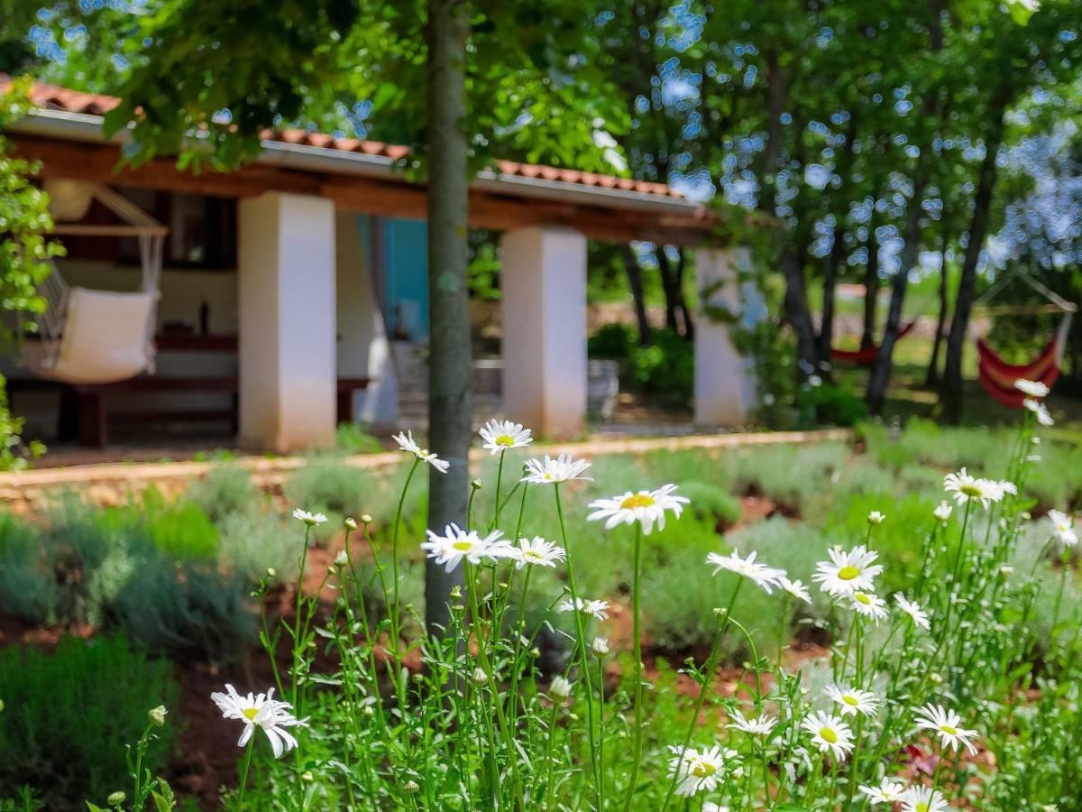 Holiday Home Country House D&D By Interhome Pula Exterior foto